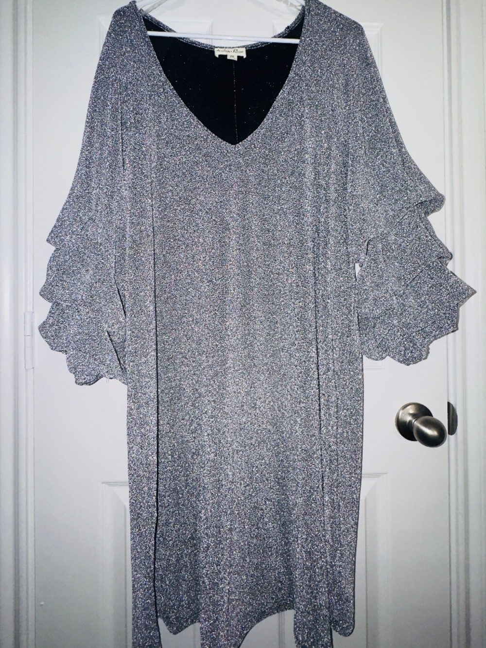 Fashion Rose Silver Metallic Shimmer Dress Ruffle Sleeve 3X
